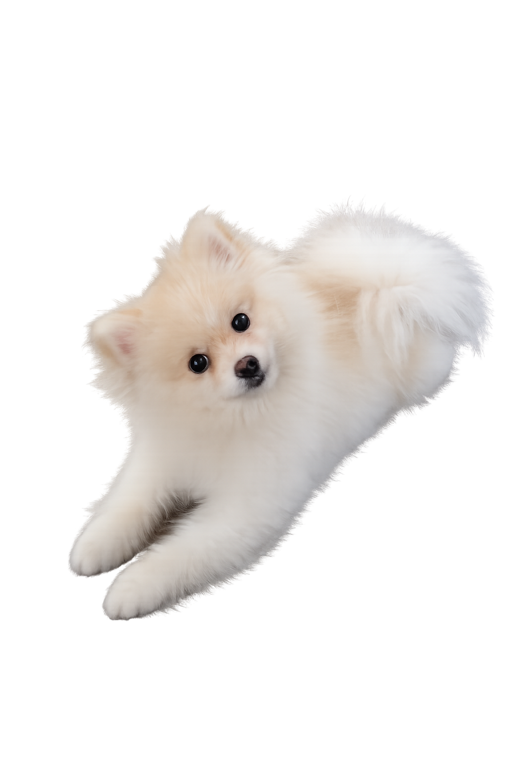 すーのなんだかんだと毎日更新じゃないブログ