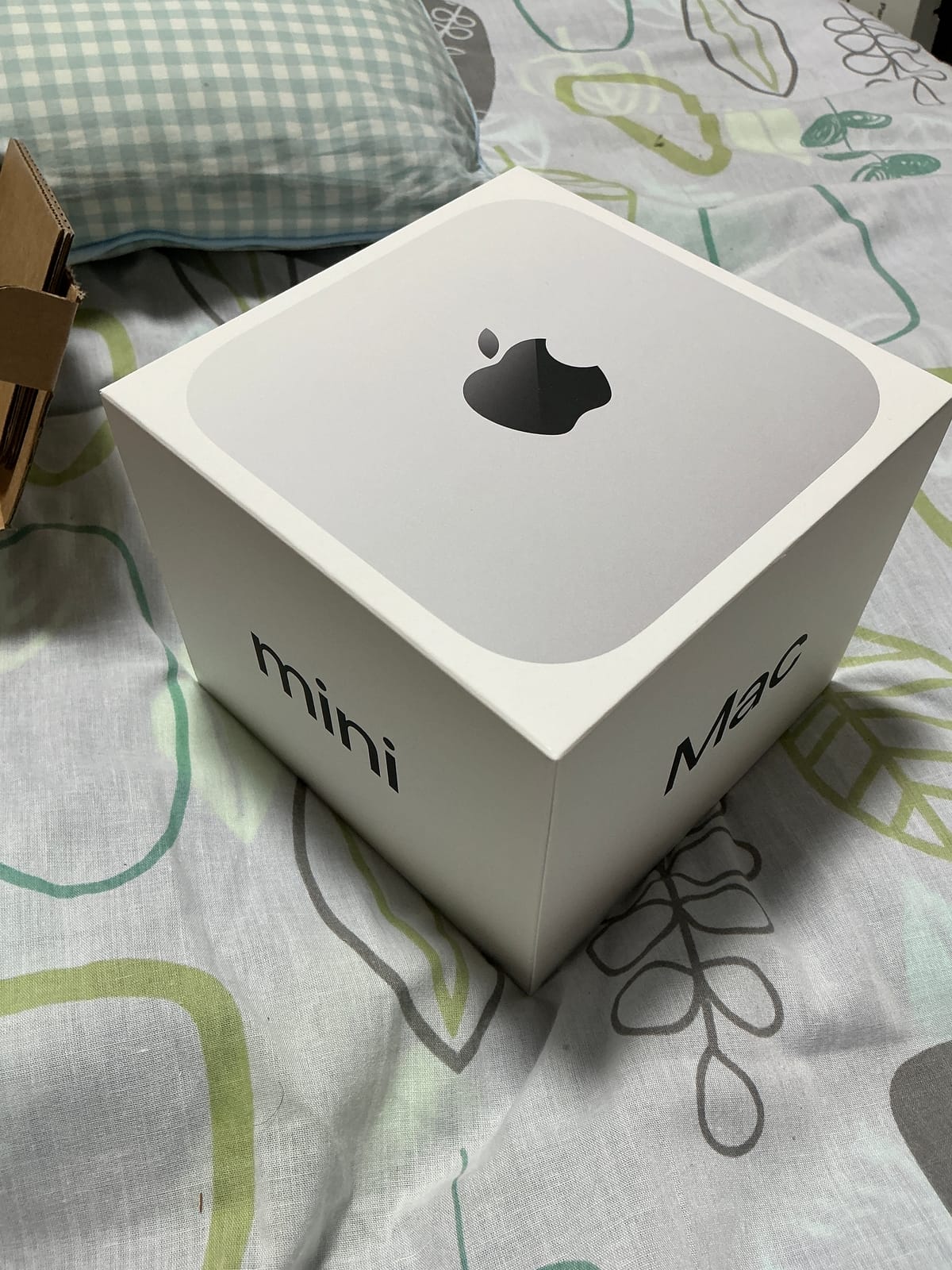 【開封の儀】Apple Mac mini(M4)をお迎えしました！ハードウェア編