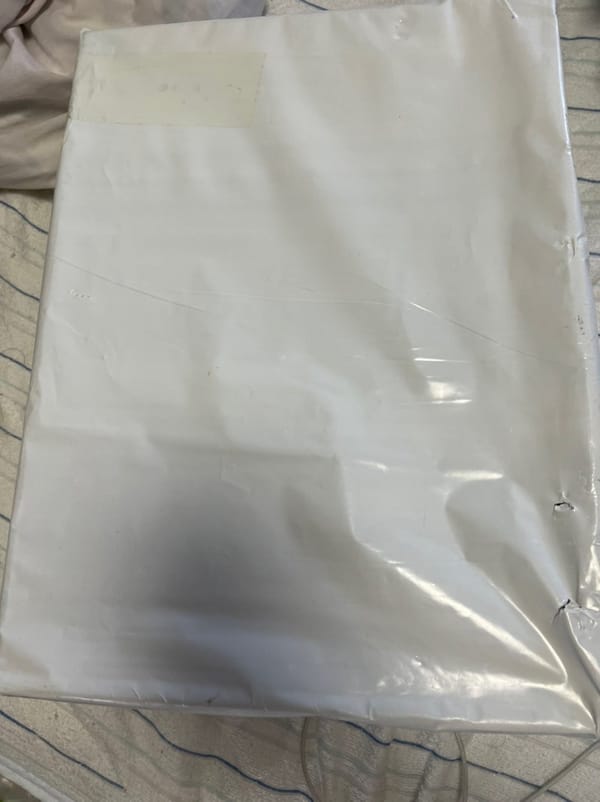 【開封の儀】Nordace Lavalをお迎えしました！